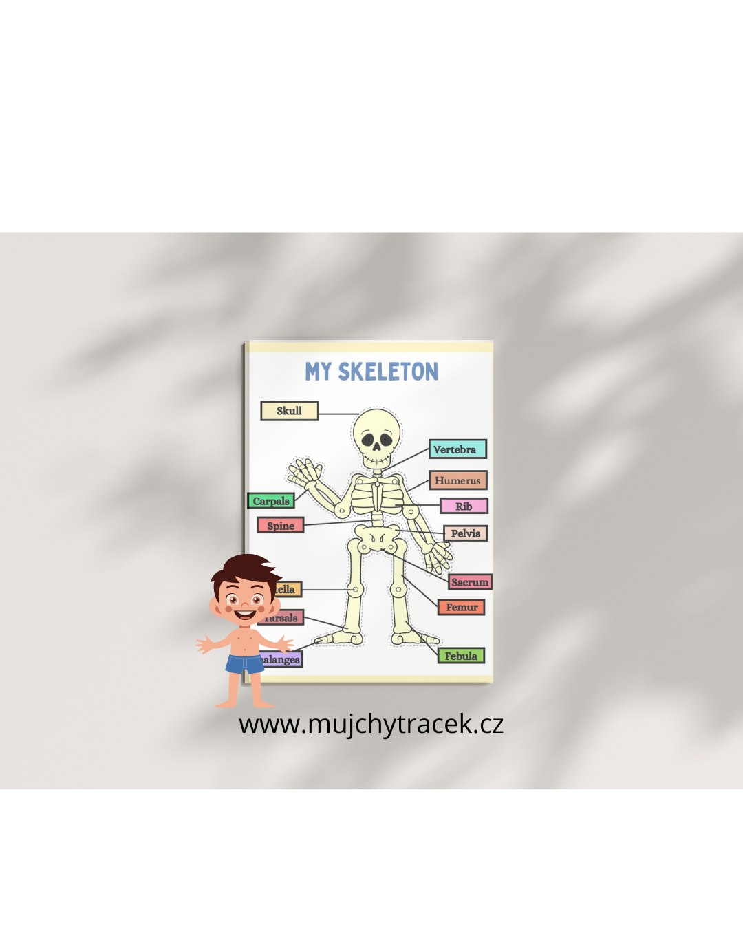 Lidské tělo – Interaktivní vzdělávací pracovní kniha v angličtině (29 stran)