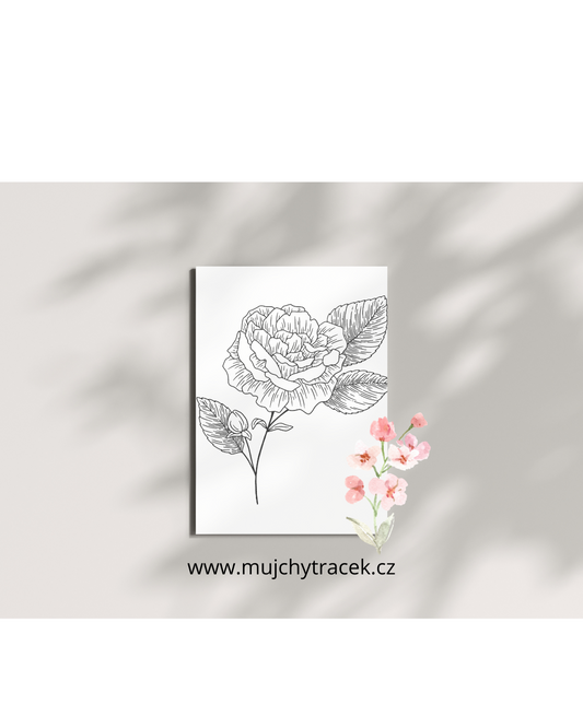 Květinové omalovánky – 160 stran nádherných květů