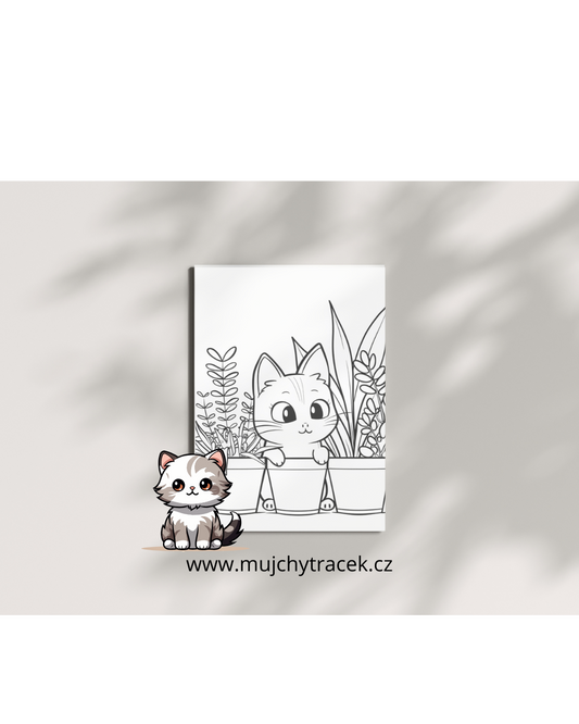 Kočičí omalovánky – 160 stran plných roztomilých koček