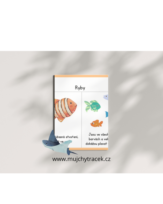 Porozumění textu – pracovní listy pro děti (115 stran)