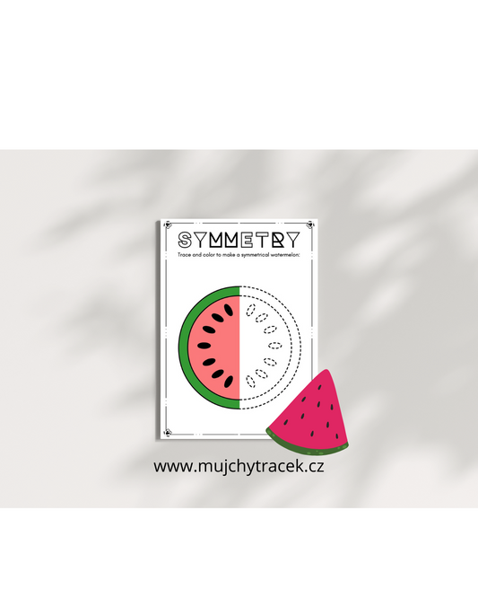 Symetrie – Anglické pracovní listy s omalovánkami (učíme se zrcadlové obrazy) 15 stran