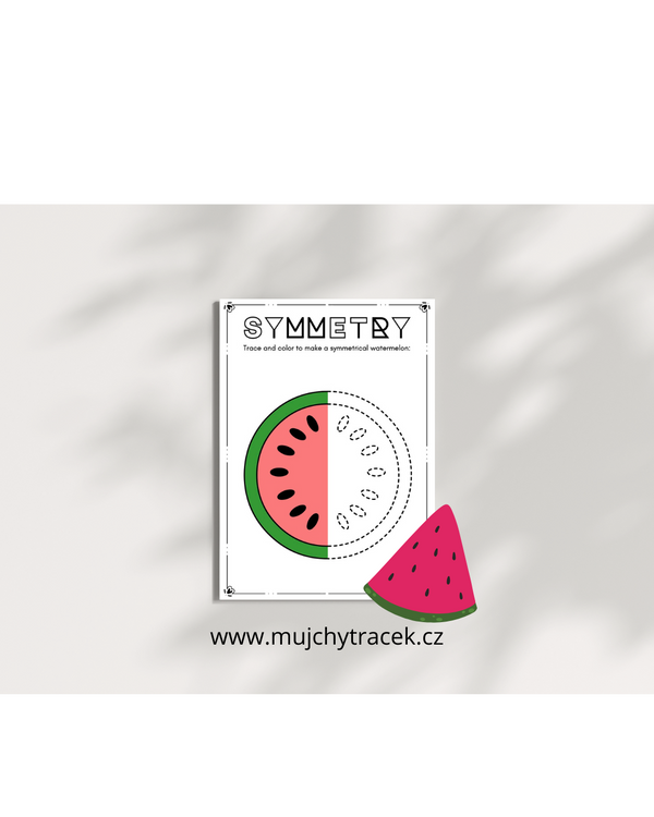 Symetrie – Anglické pracovní listy s omalovánkami (učíme se zrcadlové obrazy) 15 stran