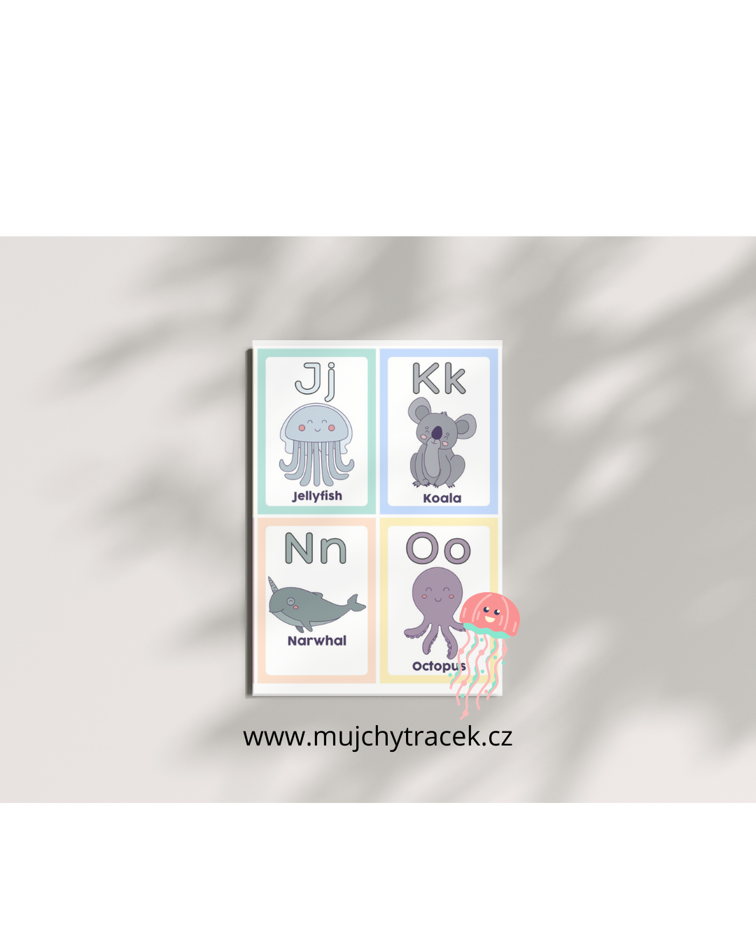 Anglické vzdělávací kartičky – 500+ obrázkových flashcards