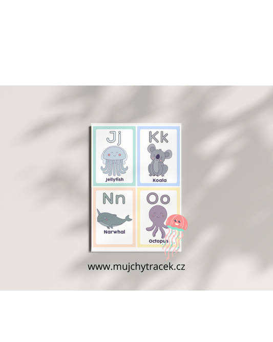 Anglické vzdělávací kartičky – 500+ obrázkových flashcards